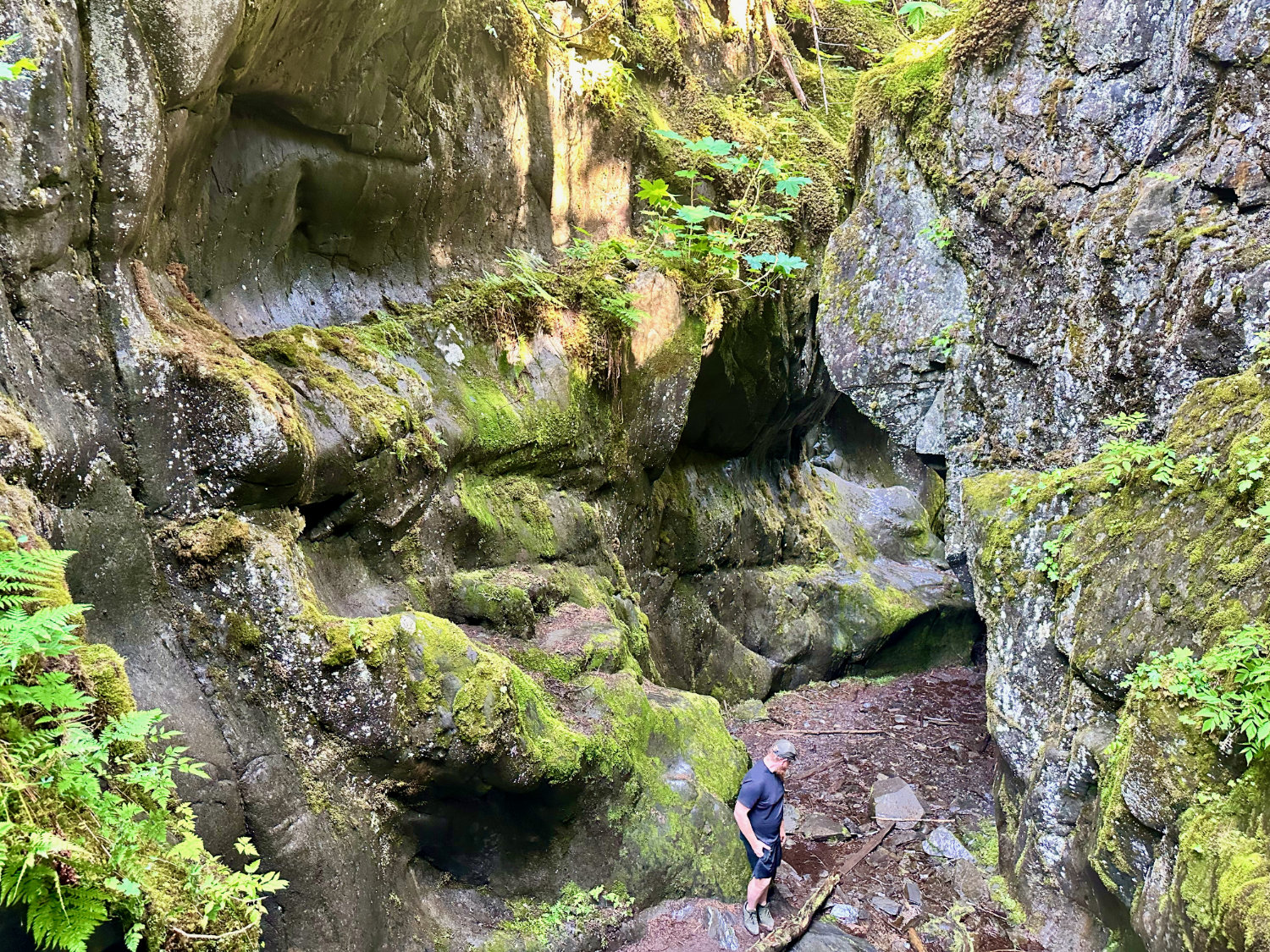 Joe on the Chutes and Ladders hike in Girwood Alaska