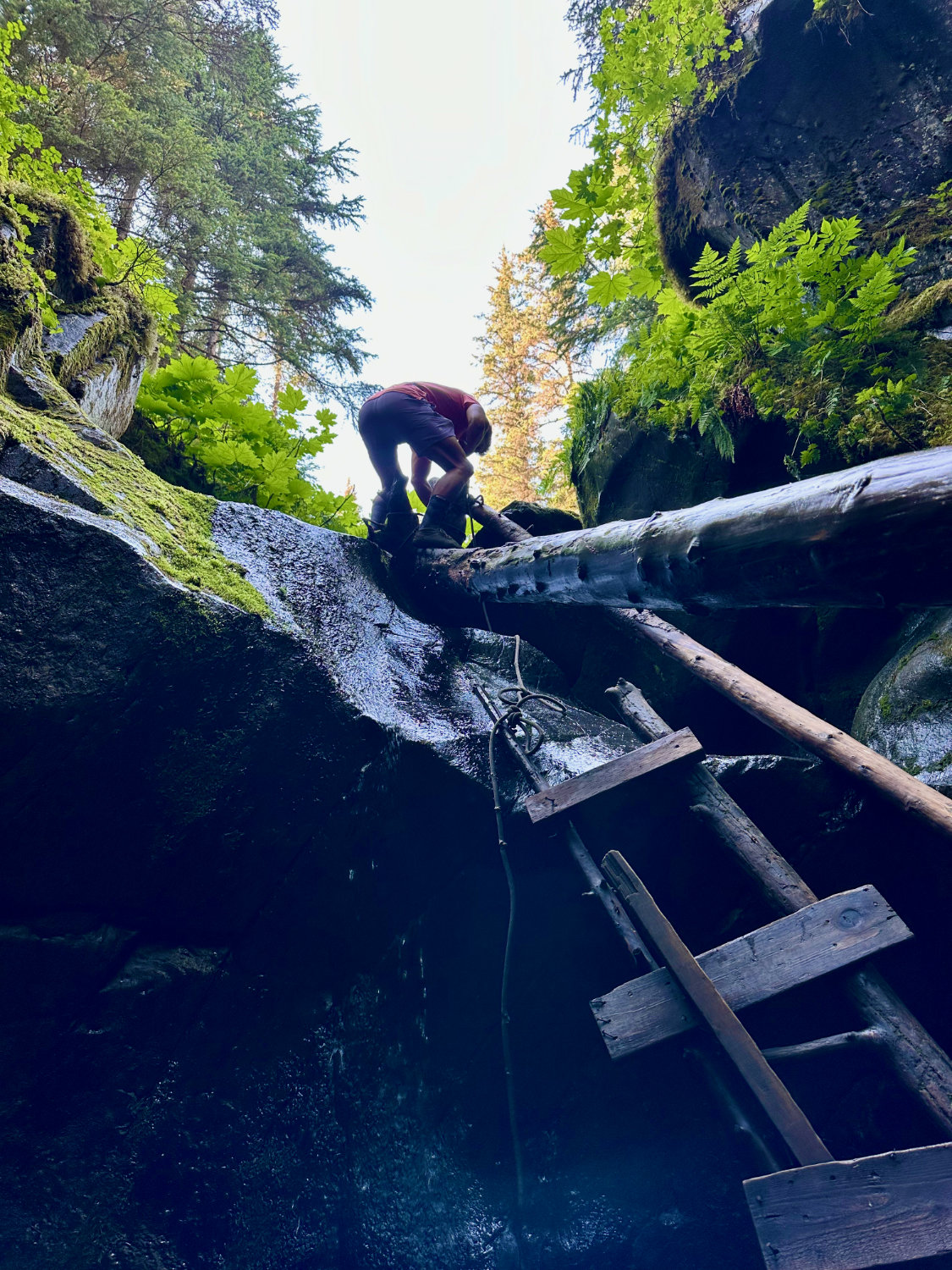 the Chutes and Ladders hike in Girwood Alaska