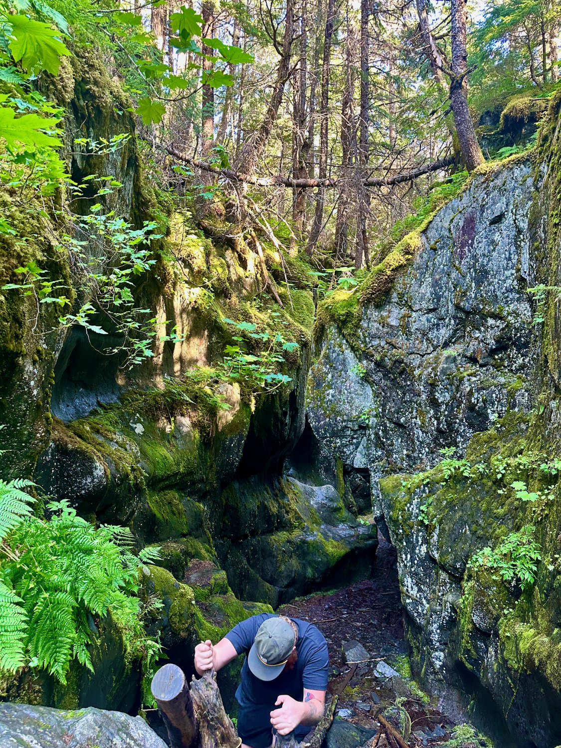 Joe climbing down one of the ladders on the Chutes and Ladders hike in Girwood Alaska