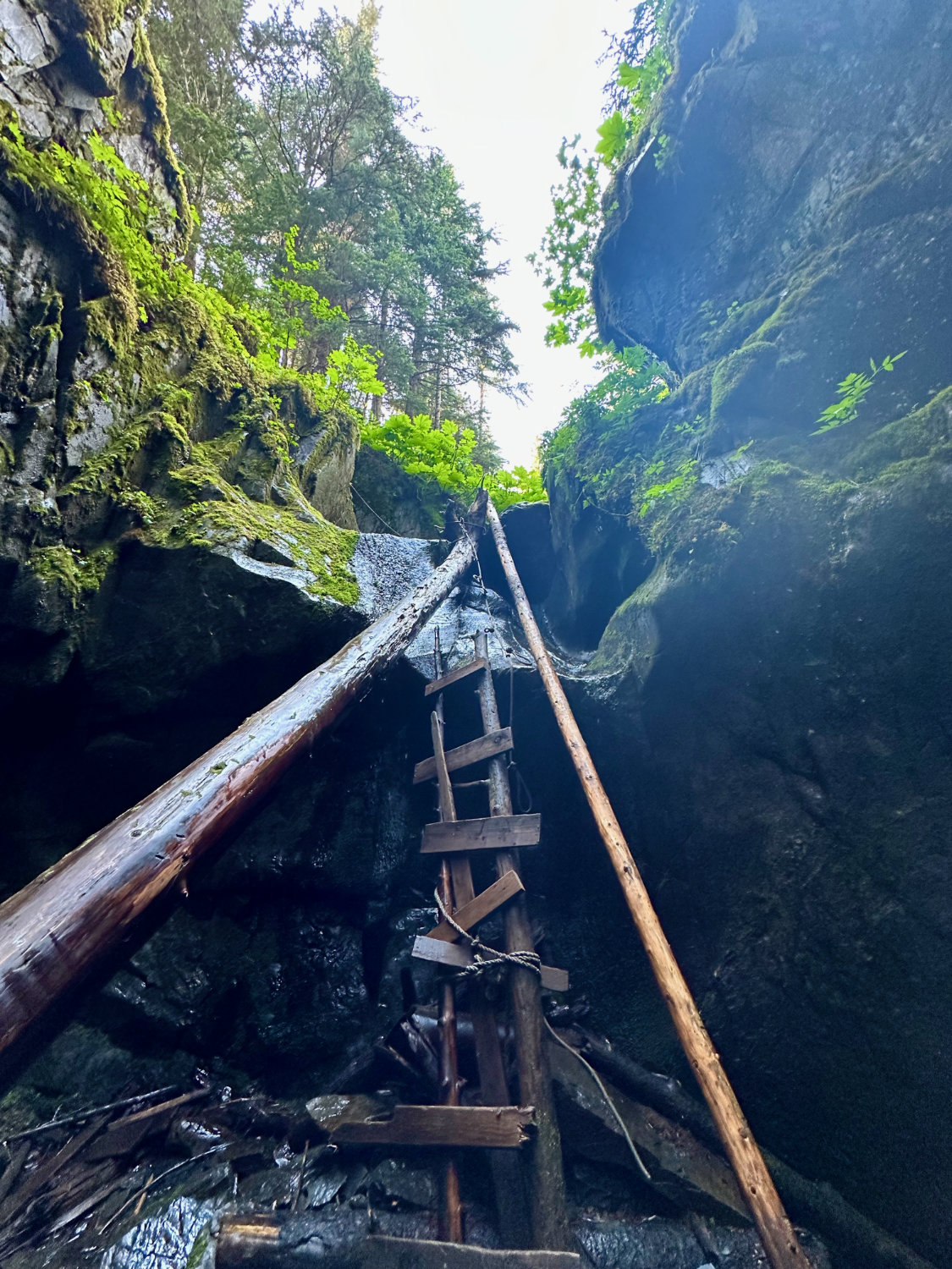 the Chutes and Ladders hike in Girwood Alaska