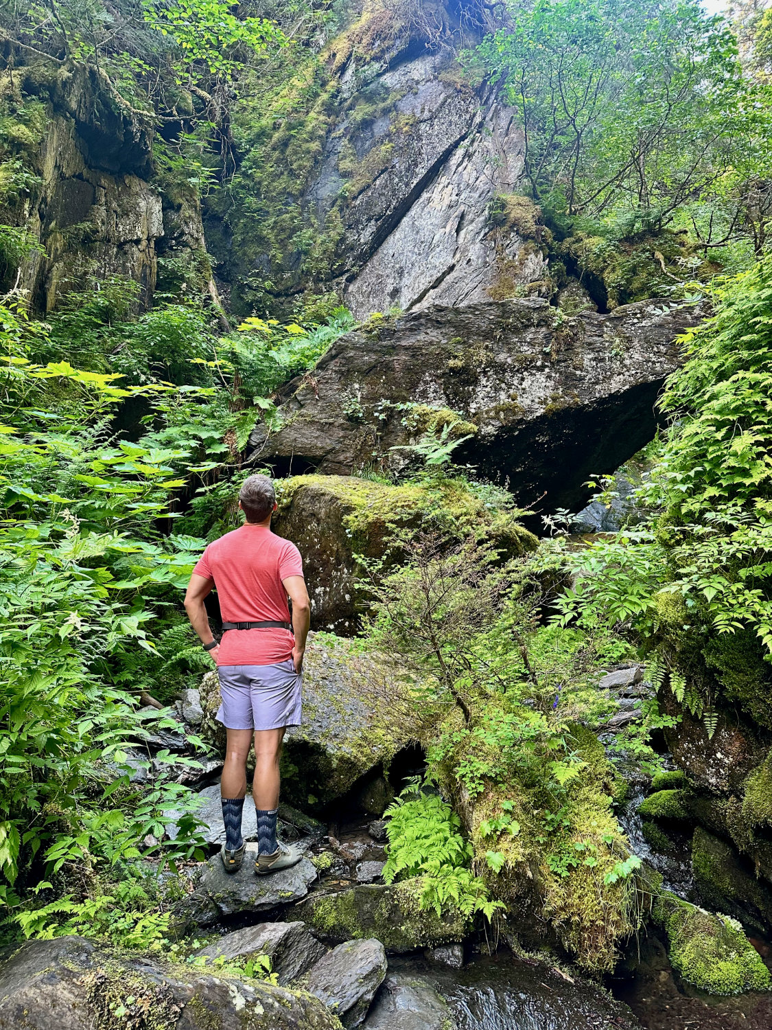 Mark looking at the beauty of the nature surrounding him on the Chutes and Ladders hike in Girwood Alaska