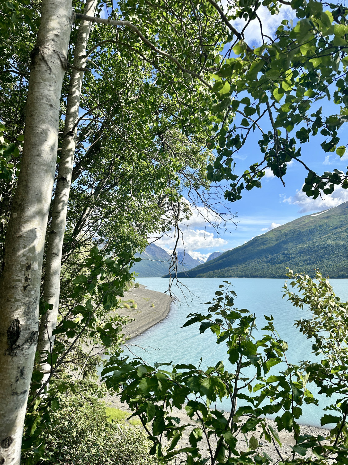 View of Eklutna Lake through some trees on the Eklutna Lakeside Trail