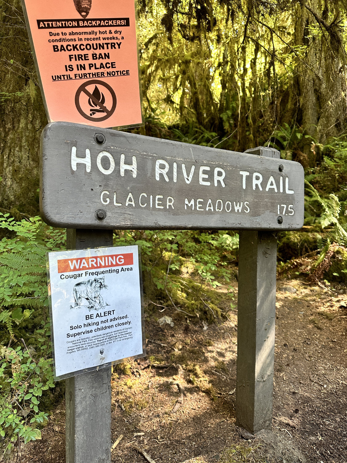 Hoh River Trail sign with a notice that Cougar frequent the area.