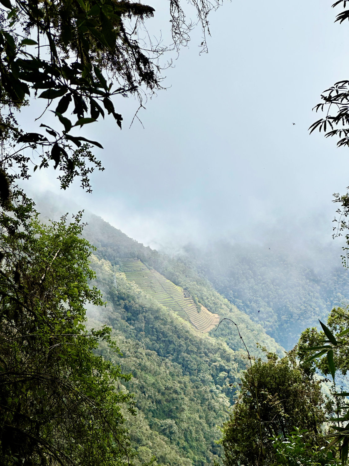 Intipata ruins on day 2 of the inca trail