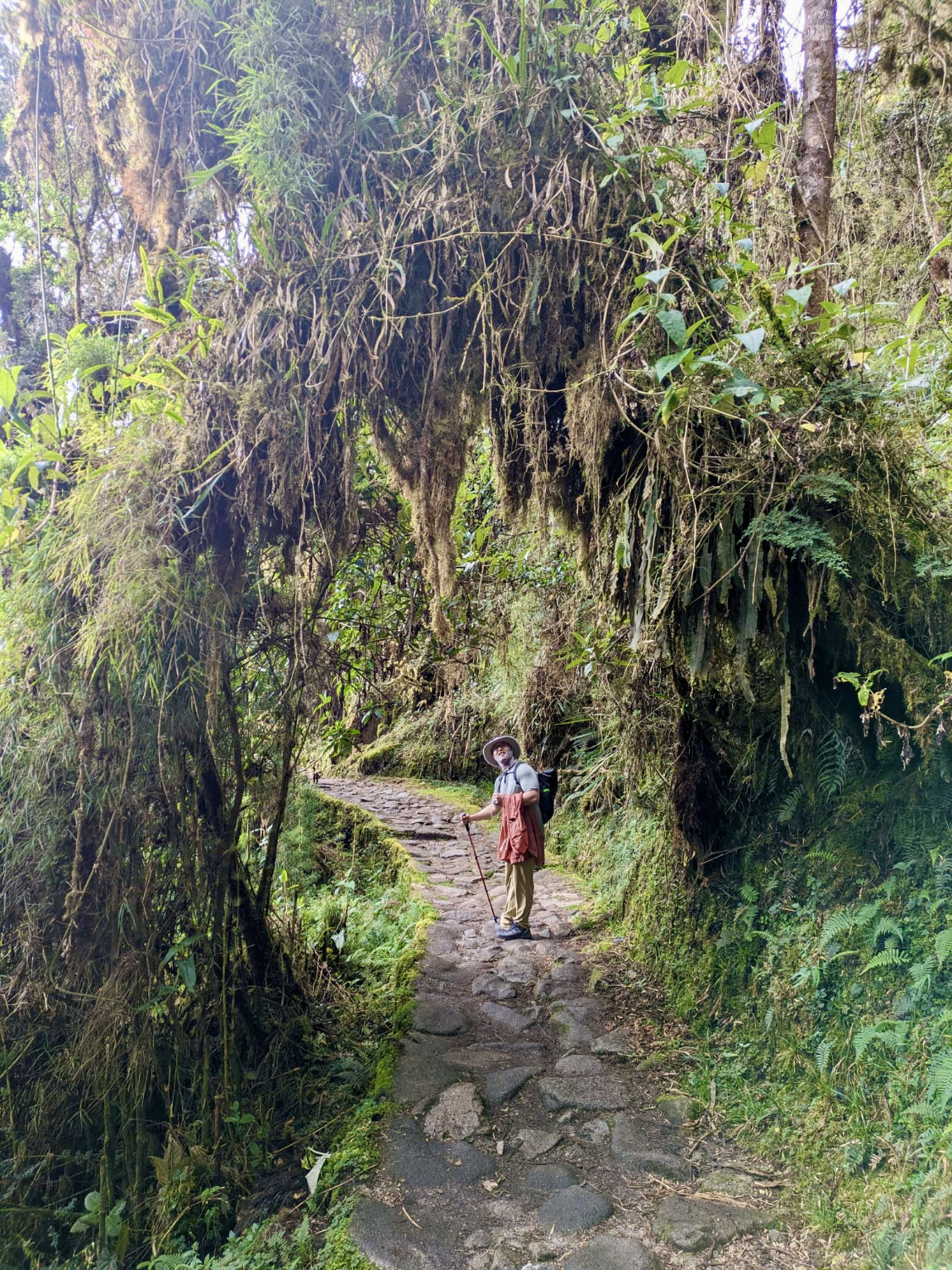 Owen walking through the cloud rain forest on the Inca Trail.