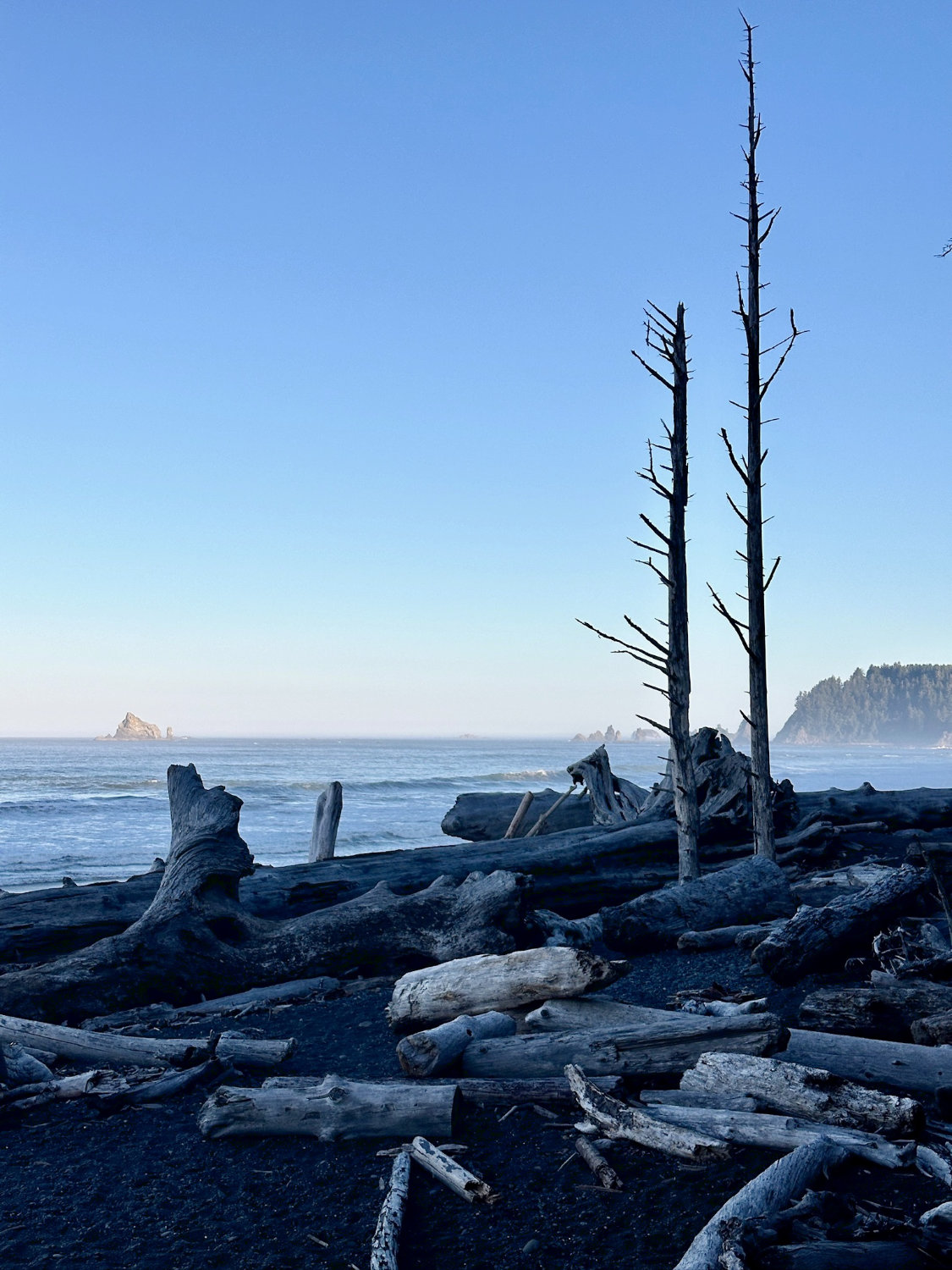 Beautiful coastline of Rialto Beach, part of Olympic National Park, with its huge driftwood.