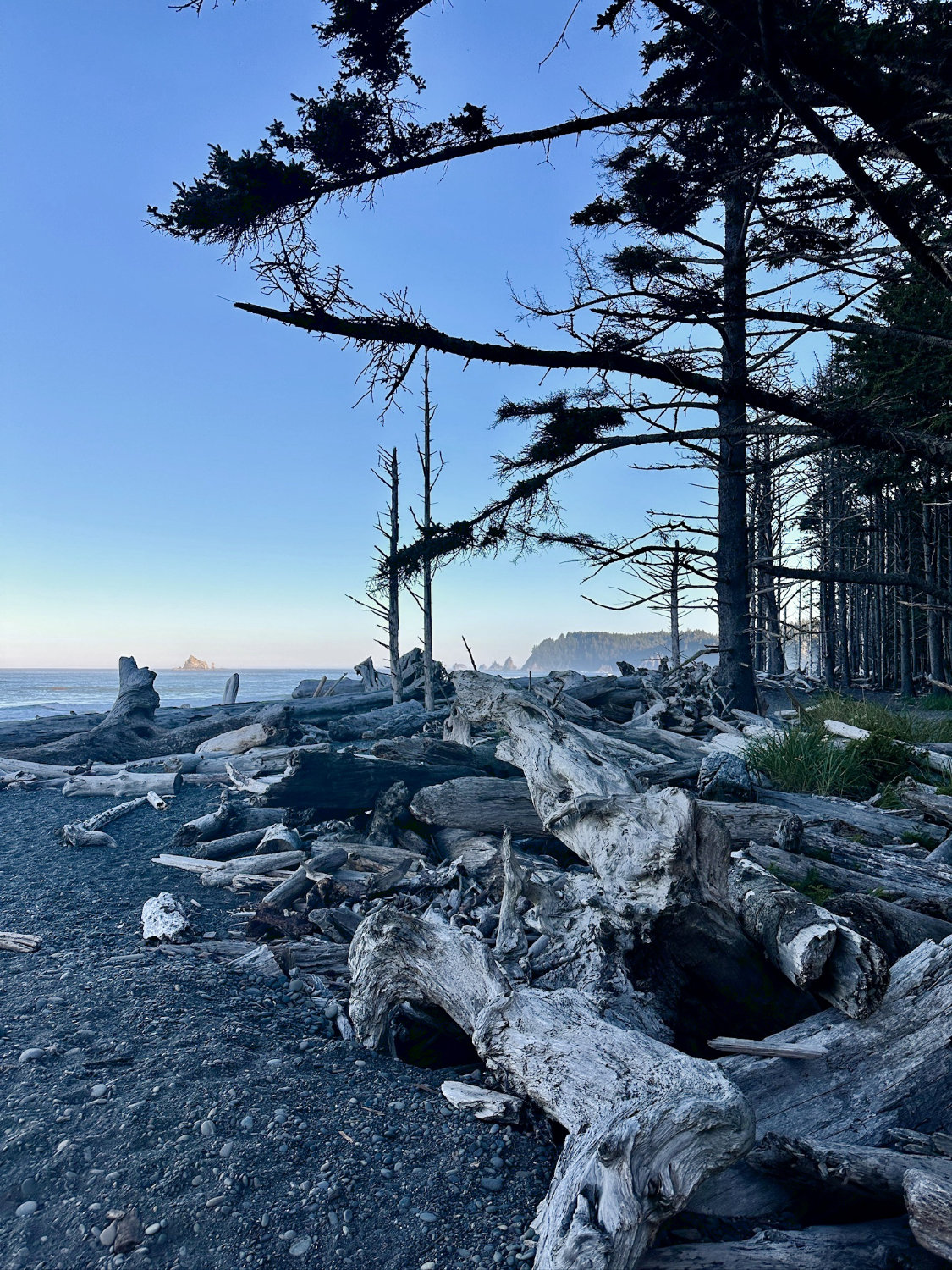 Beautiful coastline of Rialto Beach, part of Olympic National Park, with its huge driftwood.