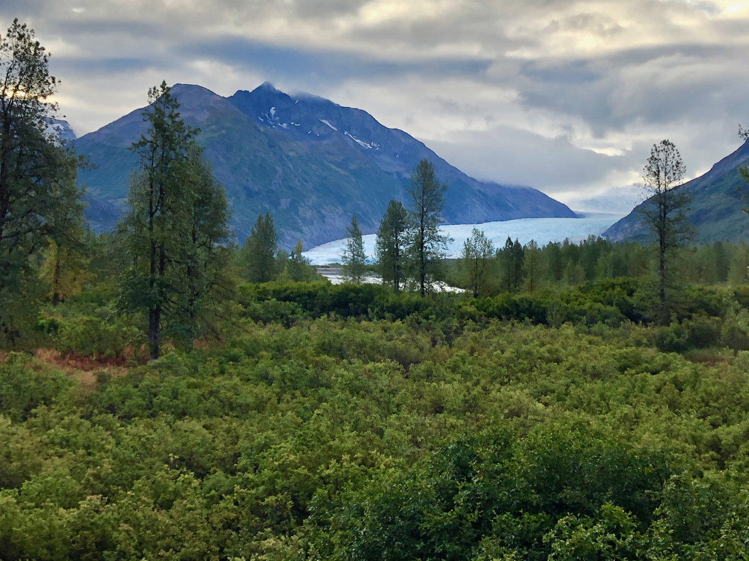 Stunning view on the train ride from Anchorage to Seward on Alaska Railraod