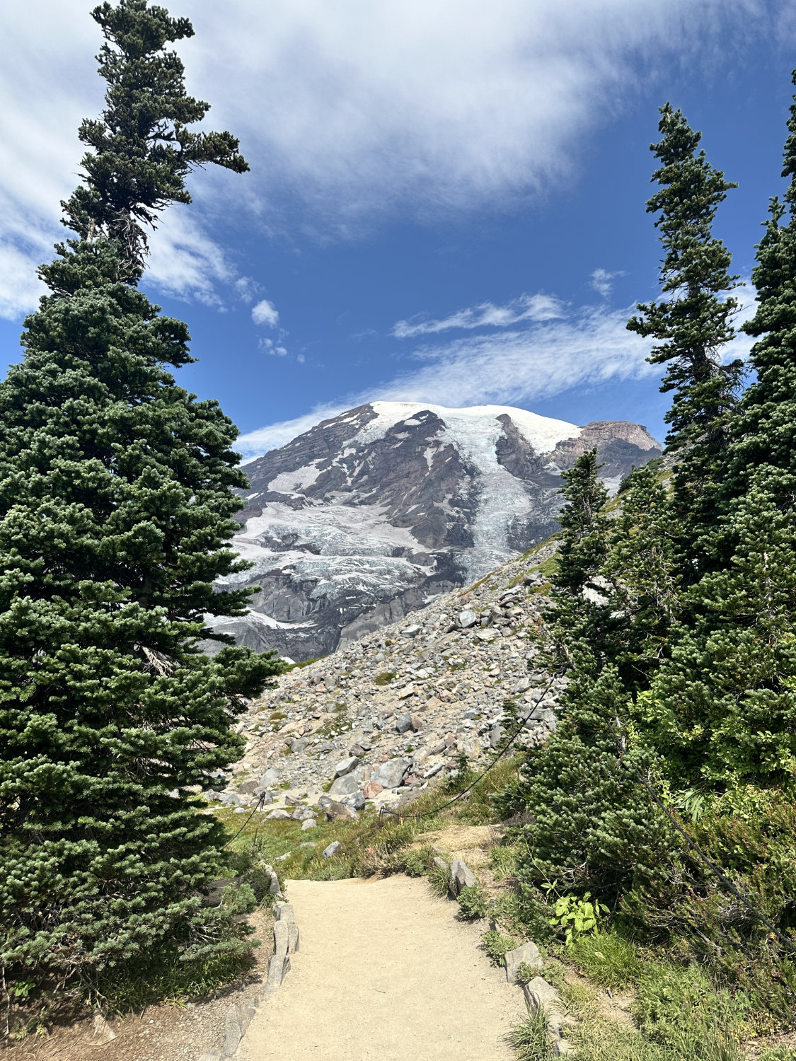 Hiking path through the trees on the Skyline Trail