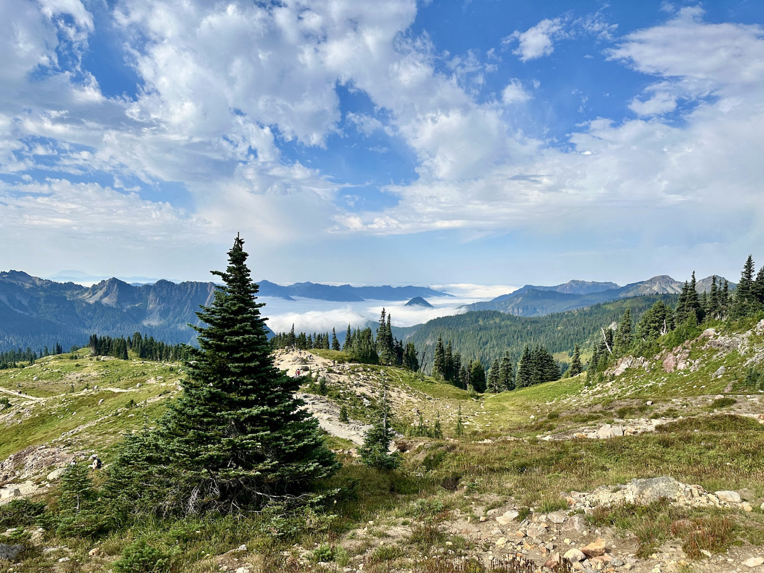 Mountains, meadows and trees view on the Skyline Trail