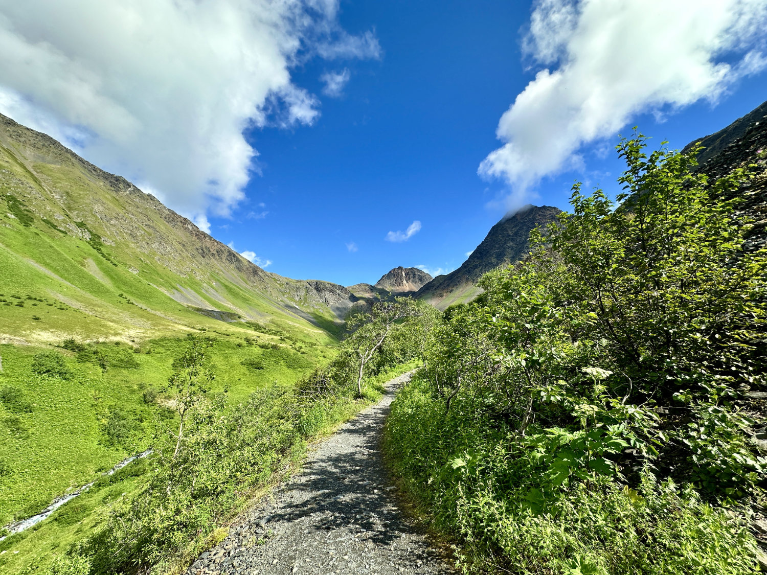 Views from Crows Pass Trail to Raven Glacier in the Chugach Mountains new Girdwood Alaska