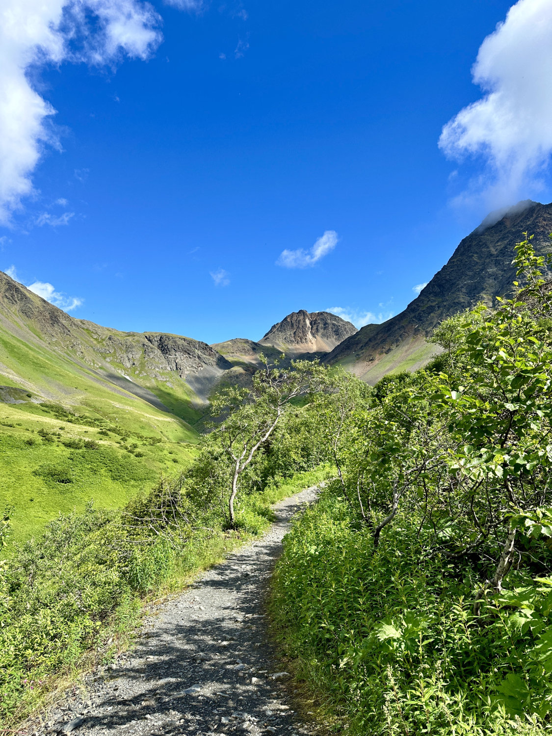 Stunning views of the Chugach Mountains on the Crows Pass Trail