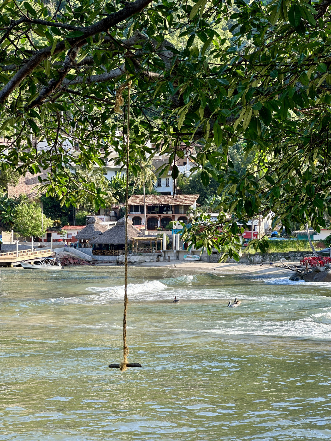 Swing in tree at Boca fishing town