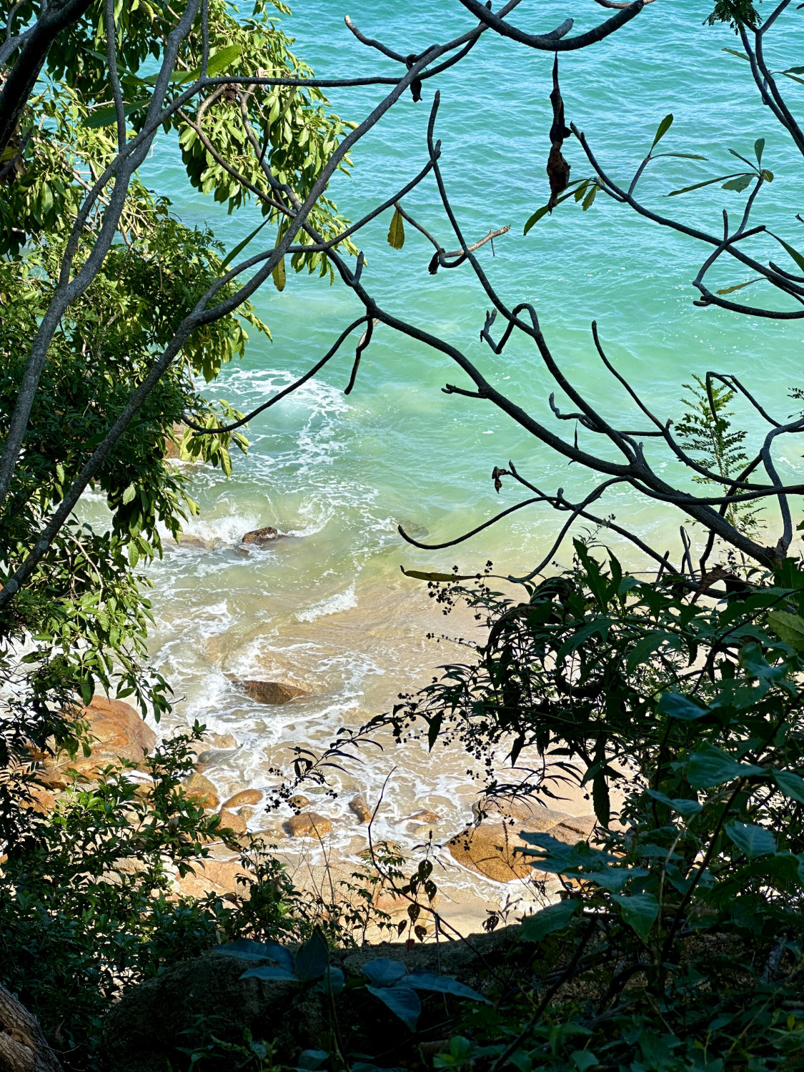 View of coast below from trail above