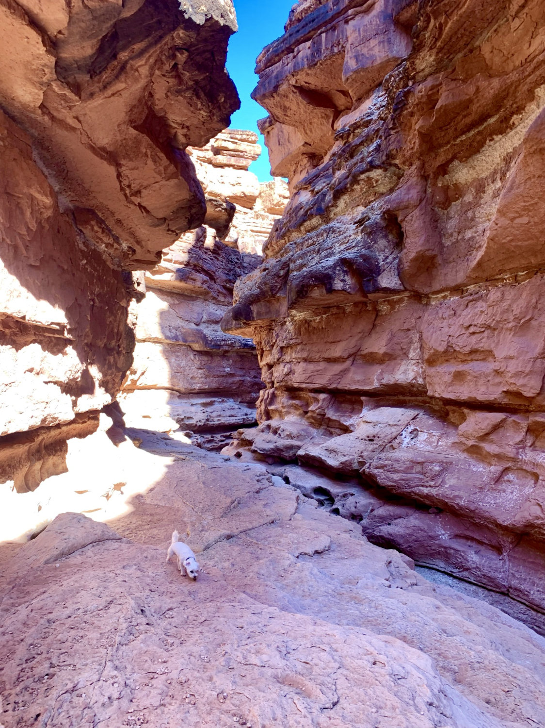 Cathedral Wash hike just south of Page Arizone near Marble canyon