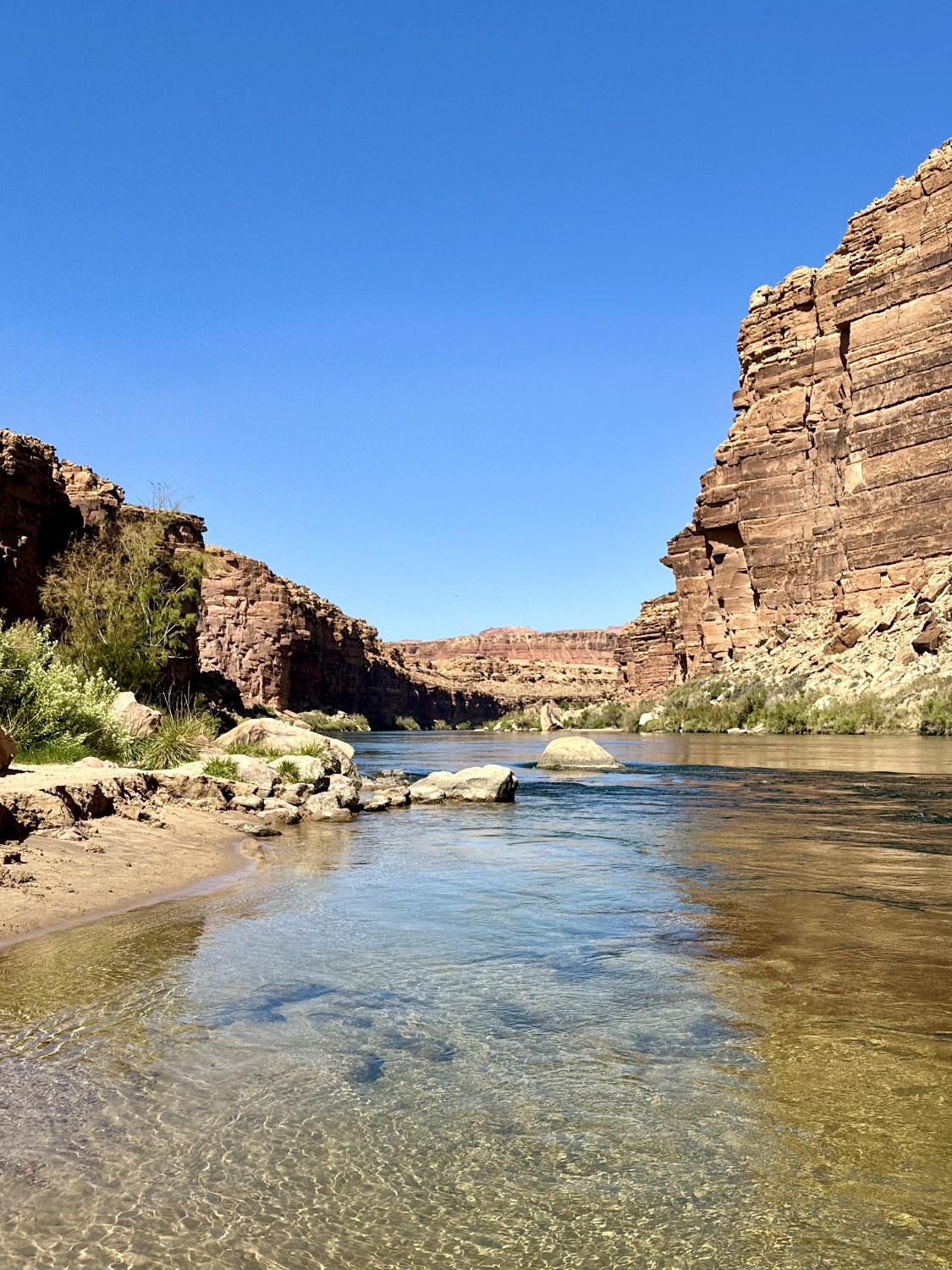 Colorado River at Cathedral Wash