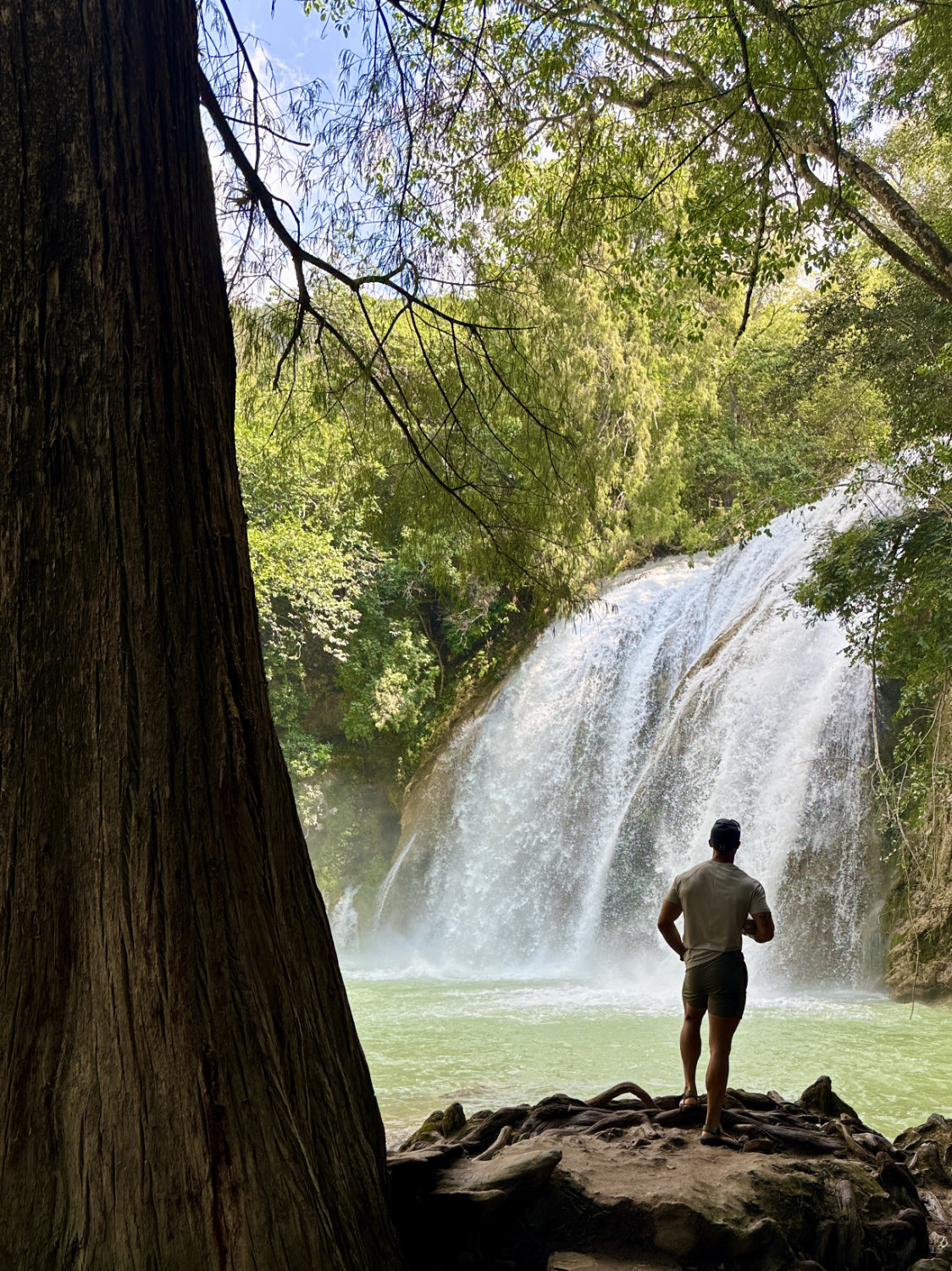 Coop looking at waterfall next to large tree