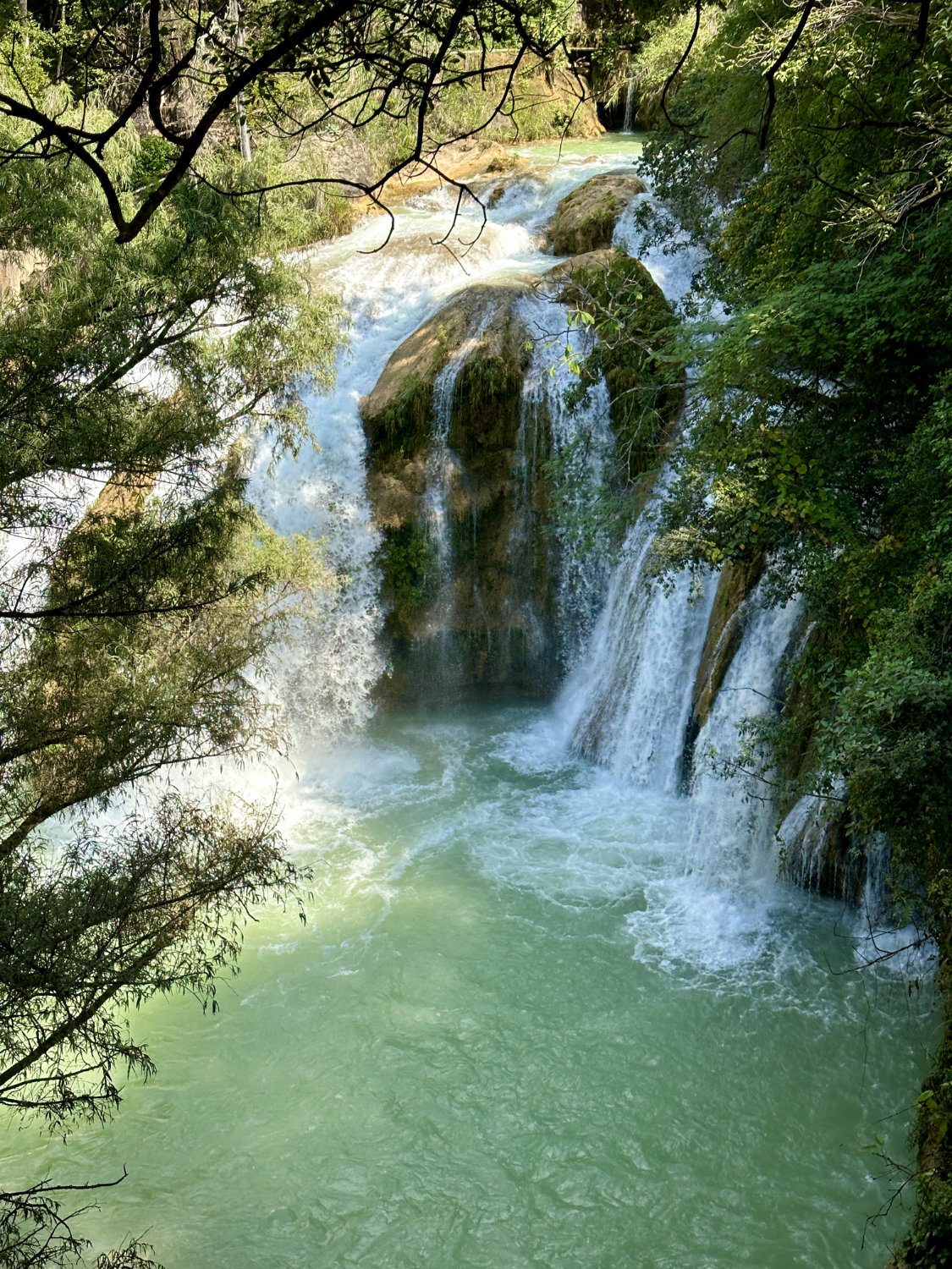 Waterfall through trees