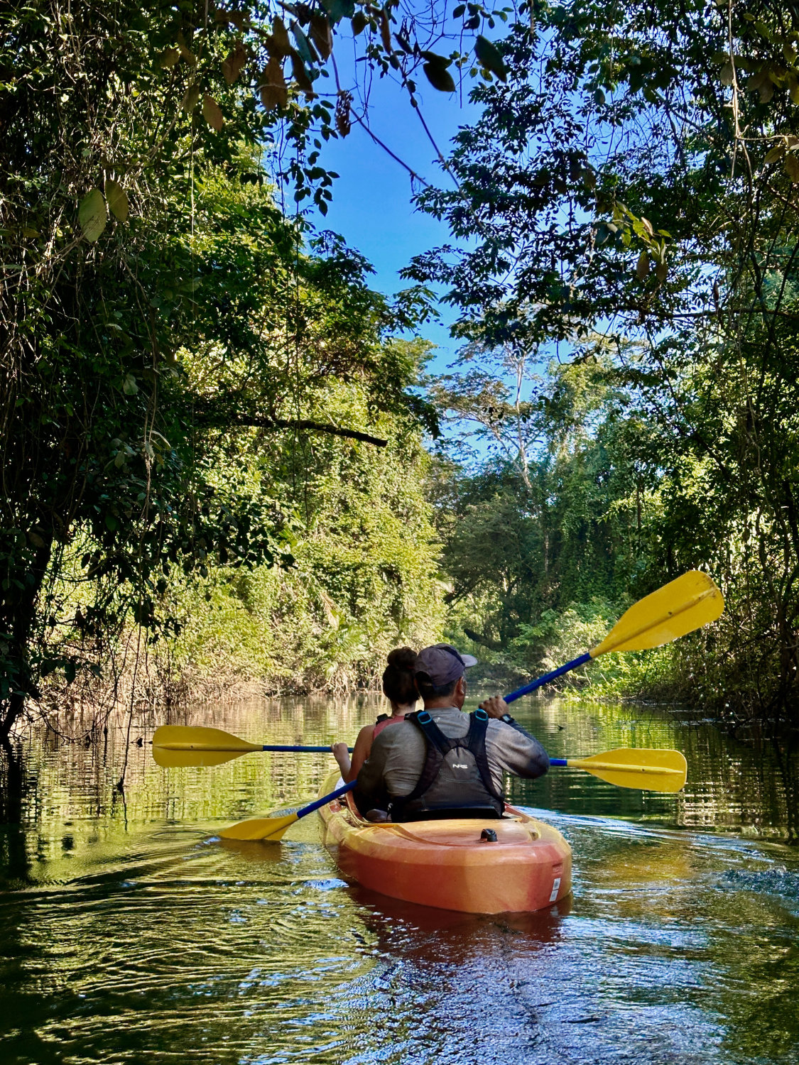 Debbie and Ernesto kayaking through the jungle in tributary