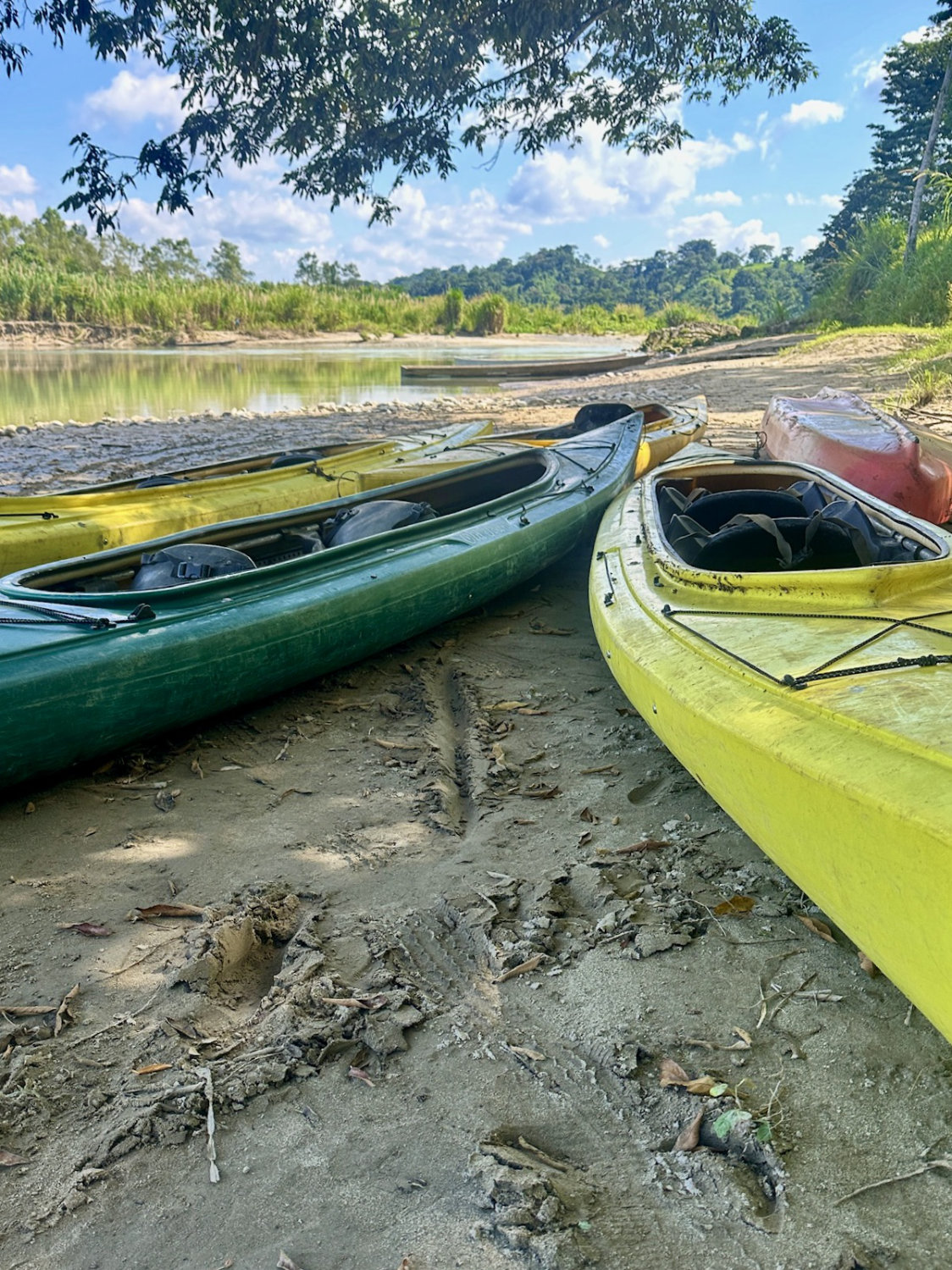 Kayaks beached at the start of the tour