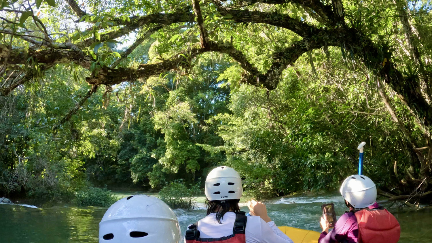 Rafting through trees in the jungle