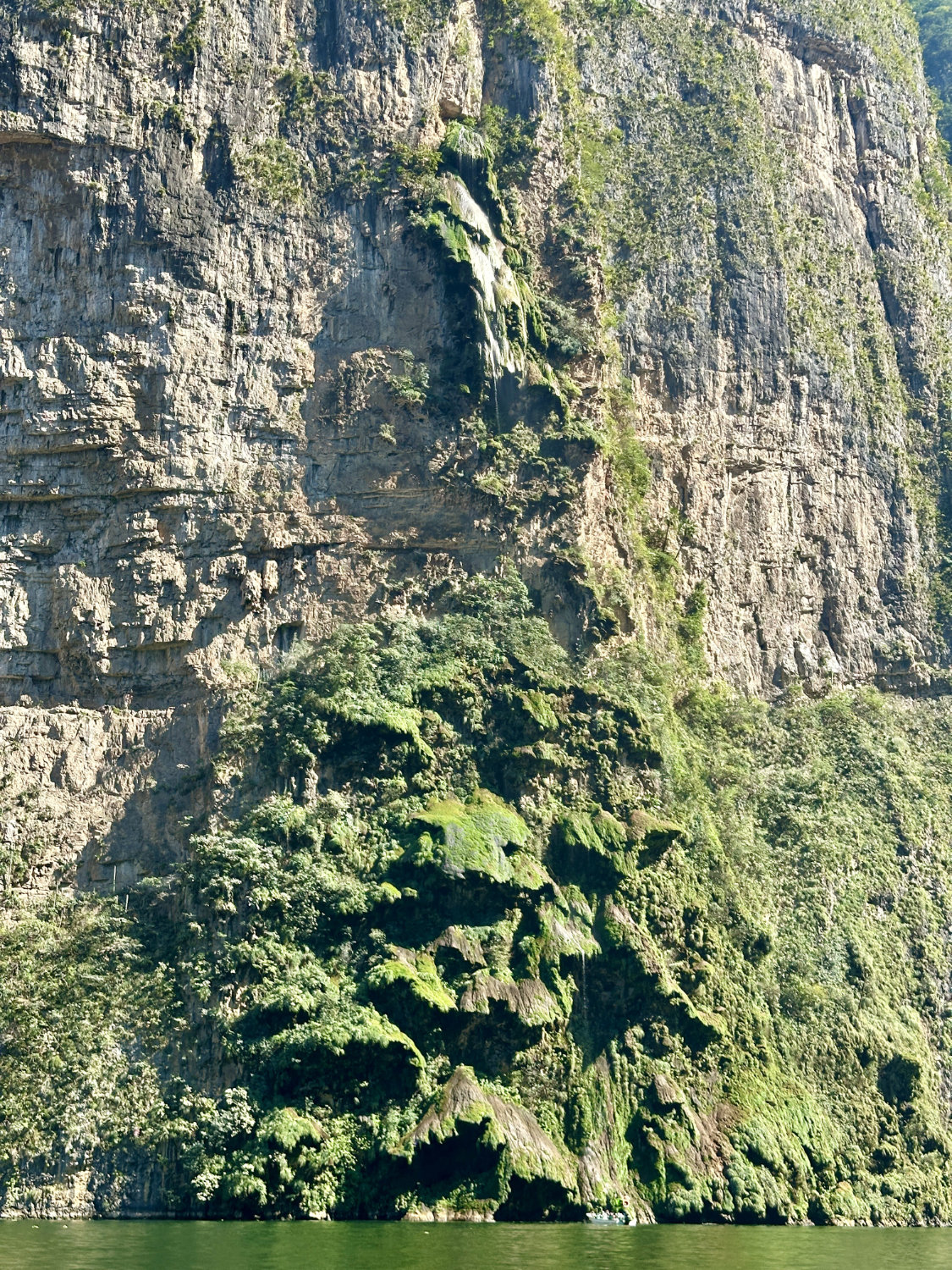 Christmas tree waterfall rock formations - Sumidero Canyon