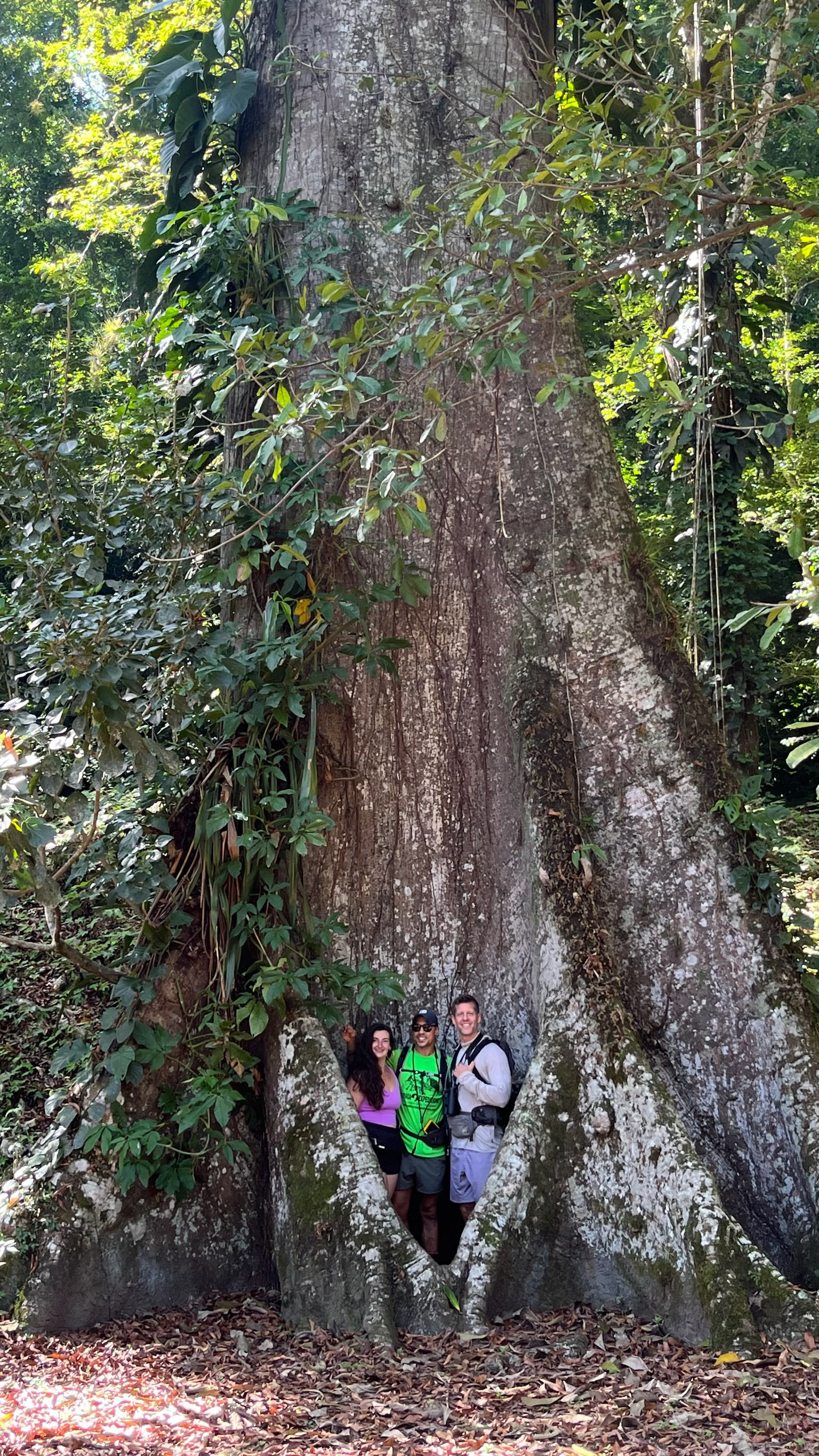 Debbie, Coop and Mark posing by large jungle tree