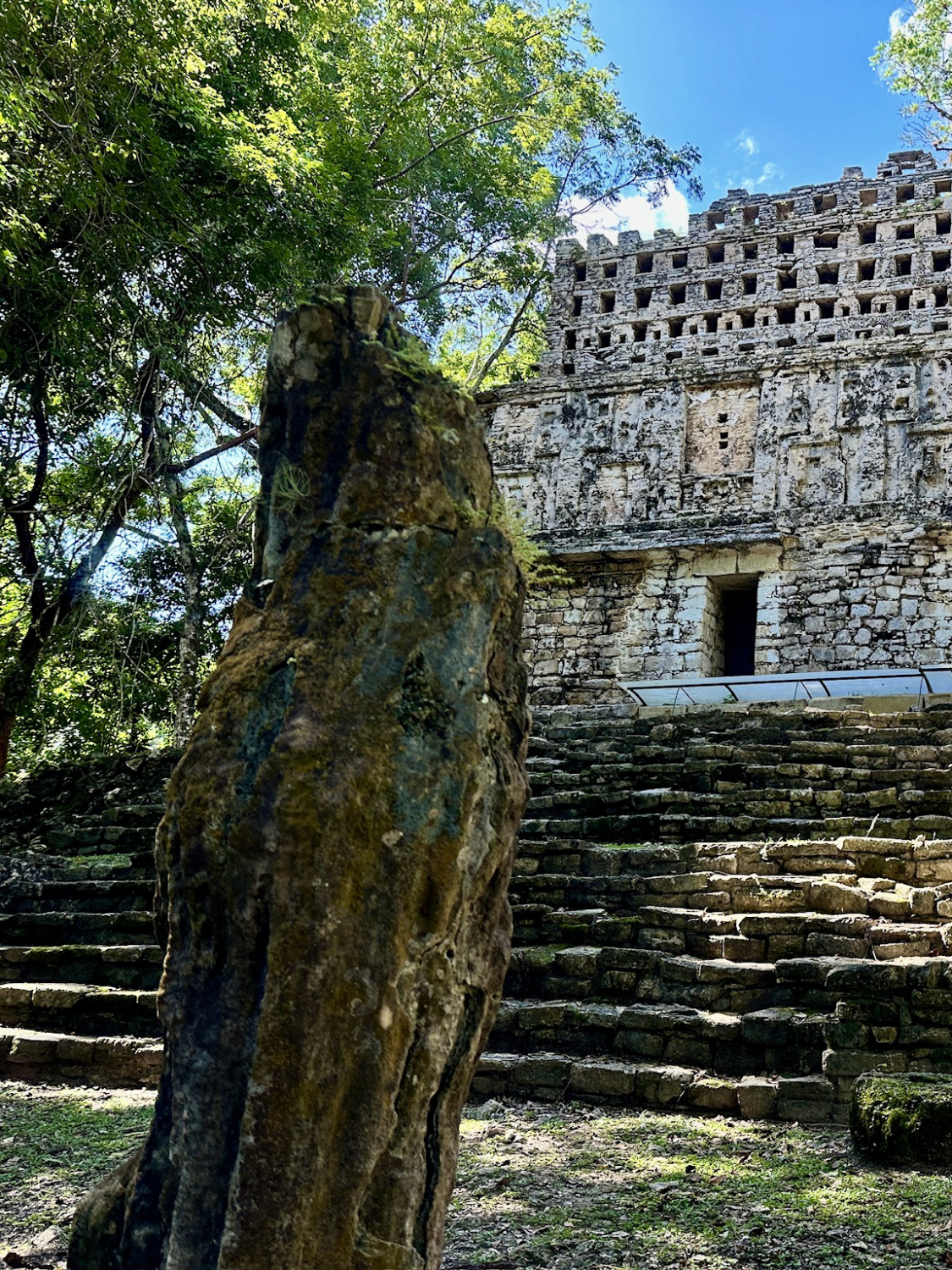 Full view of Stela 31 cave stone monument