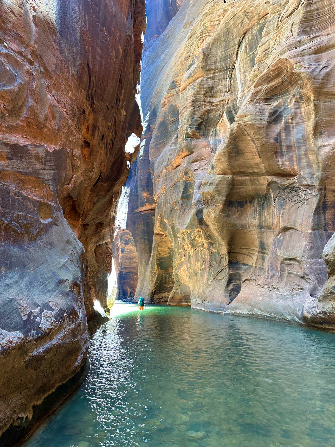 The Narrows hike in Zion National Park.