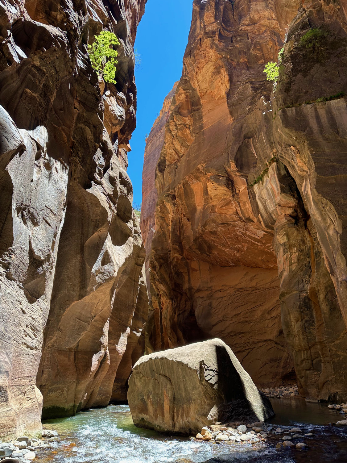 The Narrows hike in Zion National Park.